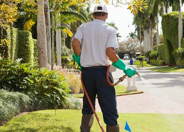 About Cusseta AL Pest Control Pros